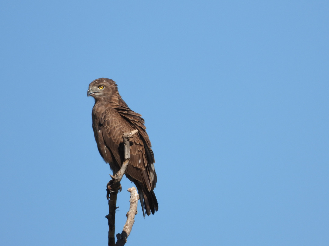 Lourie Trips & Tours-路易特里哈特必去景点