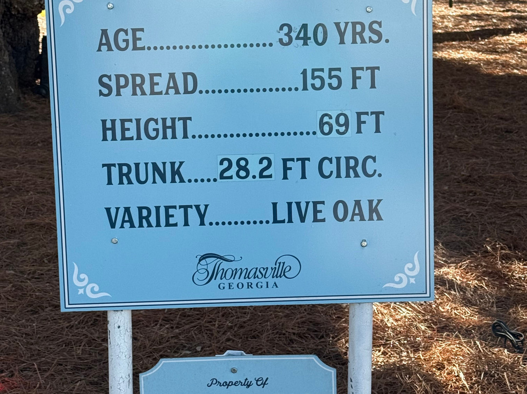 Thomasville's Historic Big Oak-Thomasville必去景点