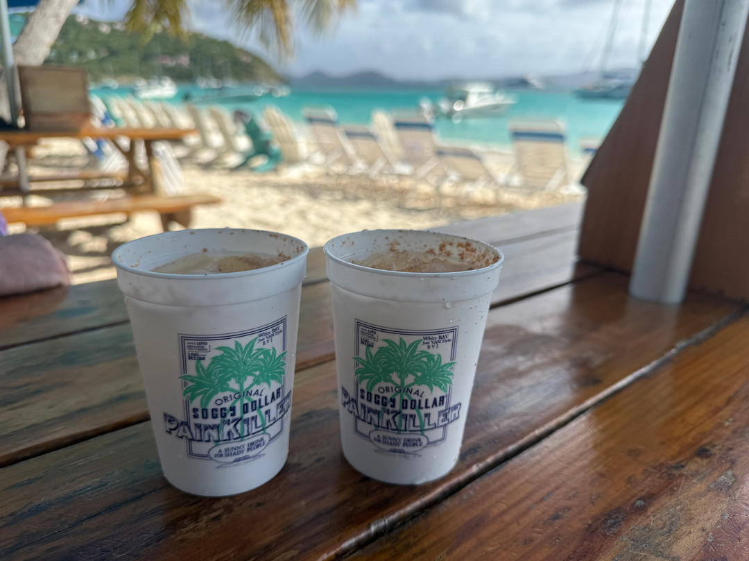 Bad Kitty & Calypso Charters-克鲁兹湾必去景点