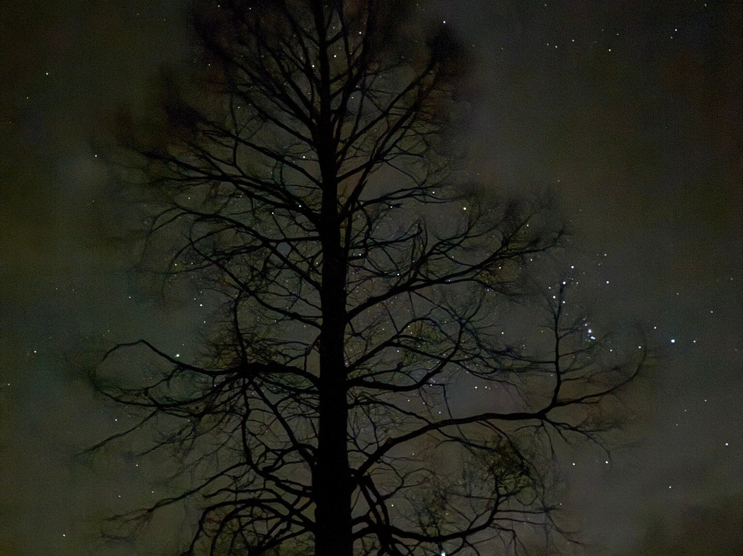 Grizedale Observatory-安布赛德必去景点