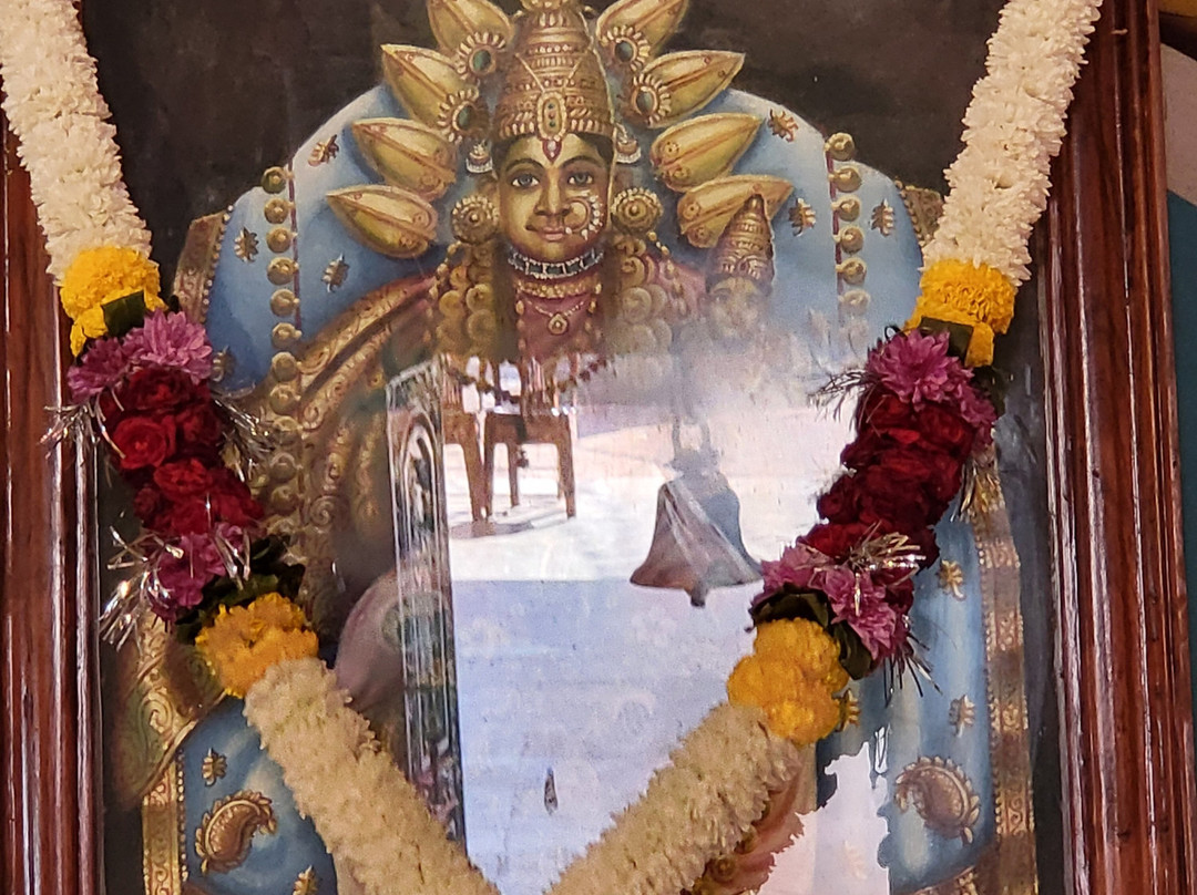 Chorao Island-巴拿吉必去景点