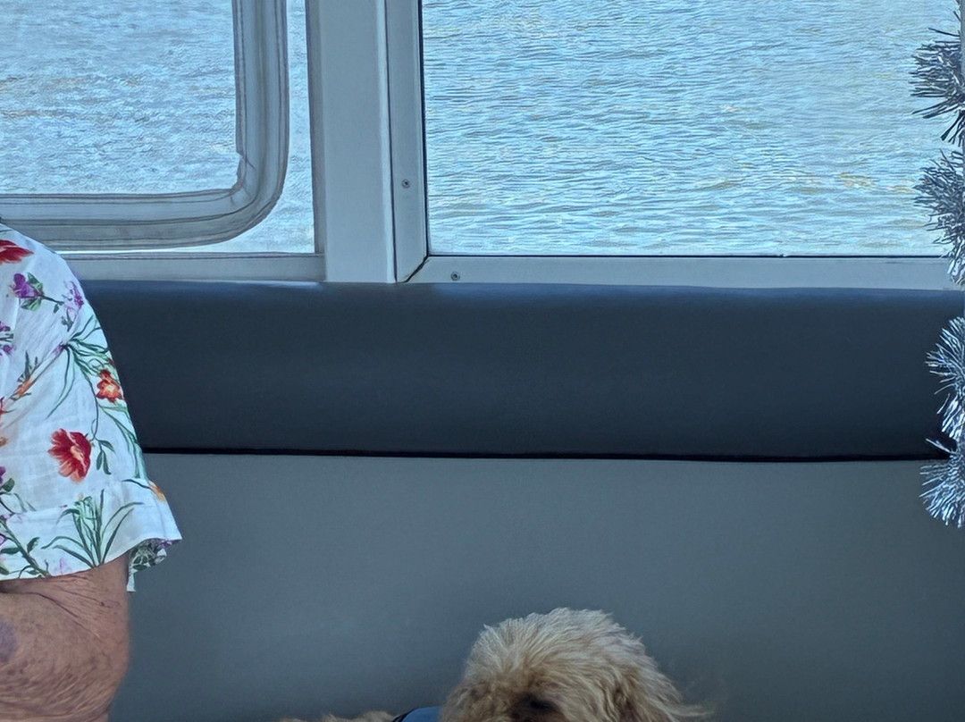 Gold Coast Party Pontoons-Runaway Bay必去景点