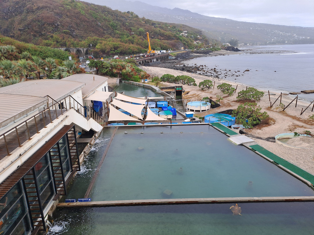 Kélonia-圣亮必去景点