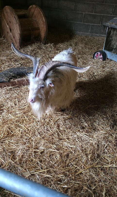 Thrift Farm-Whaddon必去景点