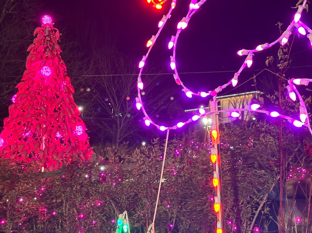 Turtle Back Zoo-西奥兰治必去景点