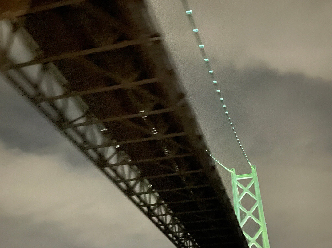 Ferry Sunflower-别府市必去景点