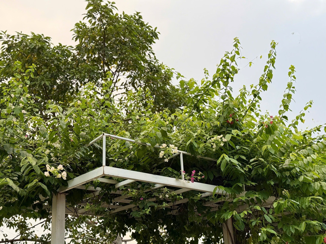 Dic Star Hotels & Resorts Vinh Phuc主图