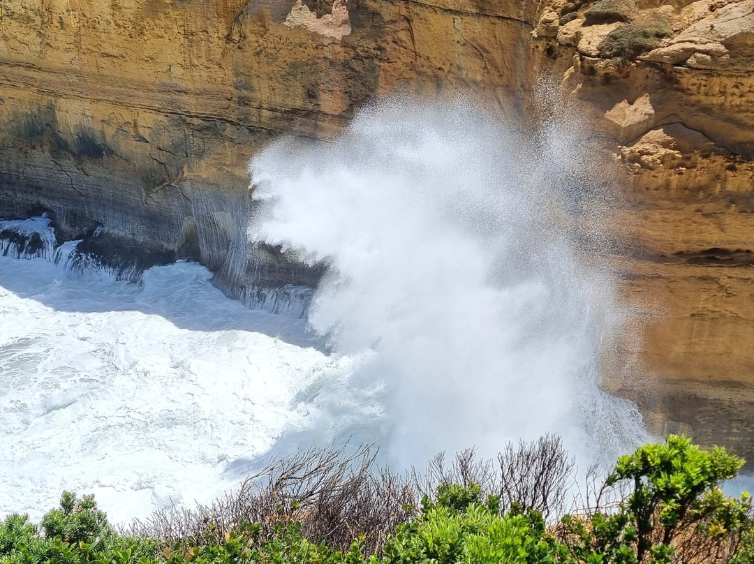 Island Arch Lookout-坎贝尔港必去景点