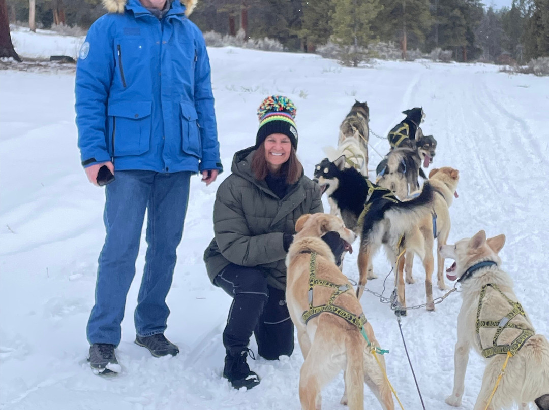 Yellowstone Dog Sled Adventures-西黄石镇必去景点