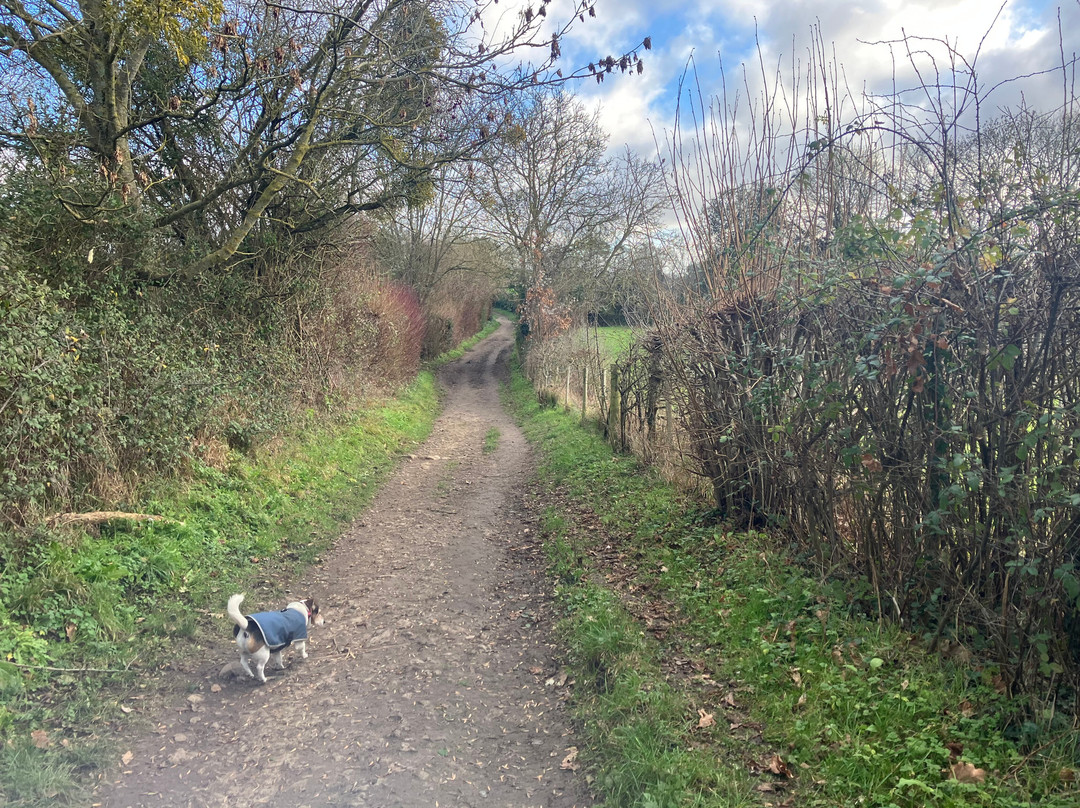 Ightham Mote Estate Walking Trails-Ightham必去景点