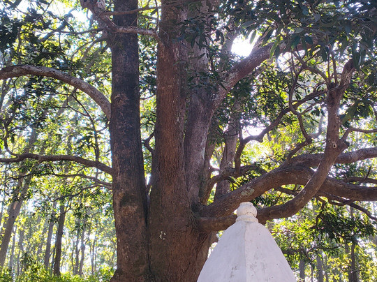 Kabir Chabutra-Amarkantak必去景点