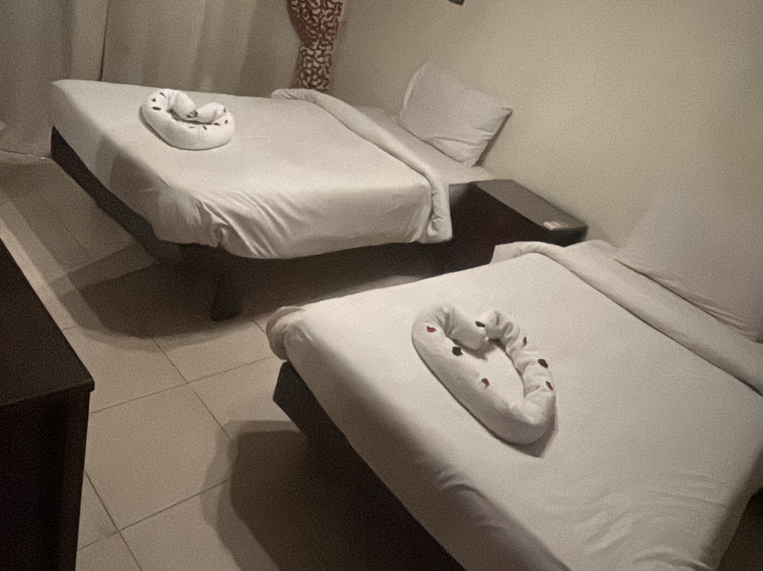 阿斯旺菲莱酒店主图