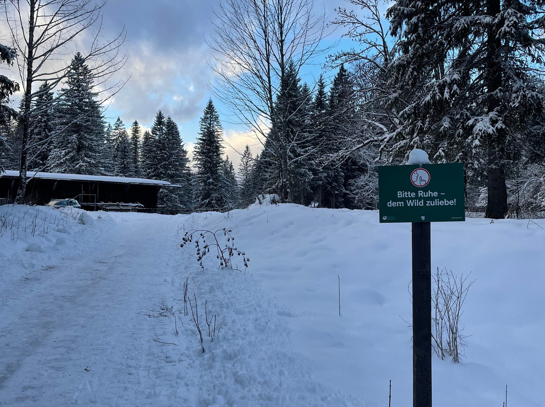 Ettal Wintersport: Wildfutterung im Grasswangtal-埃塔尔必去景点