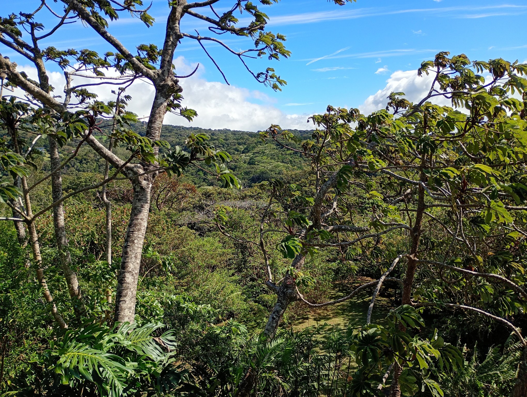 Cala Lodge-酒店景观