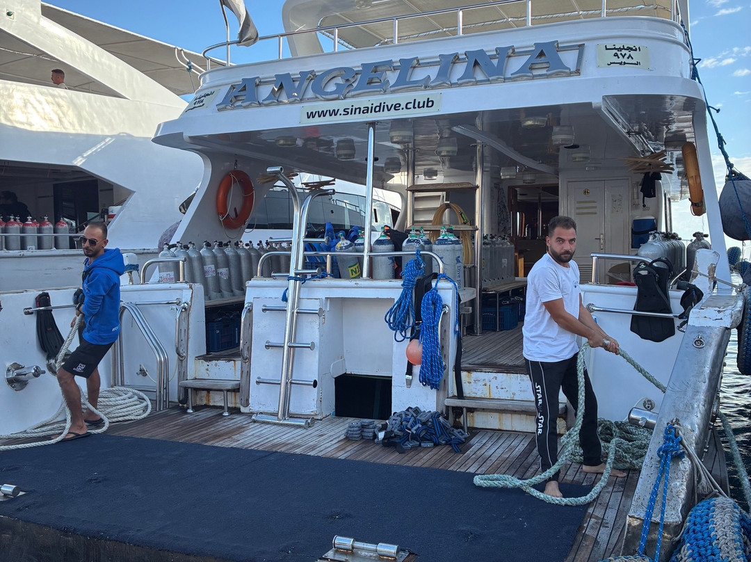 Sinai Dive Club-沙姆沙伊赫必去景点