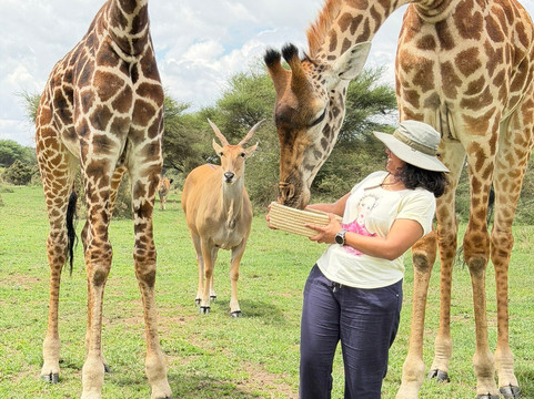 Season Master Adventures-阿鲁沙必去景点