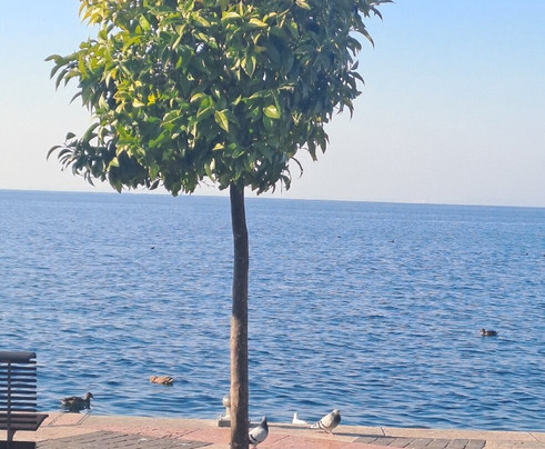 Lungolago di Lazise-拉齐塞必去景点