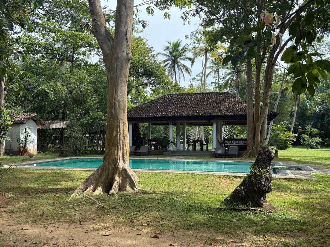 Nisala Arana Boutique Hotel主图