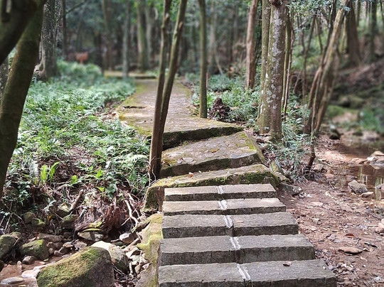 流溪河森林公园-从化市必去景点