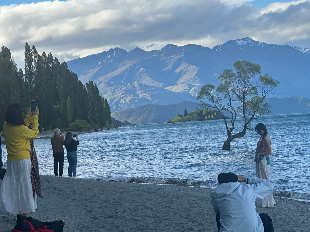 That Wanaka Tree-瓦纳卡必去景点