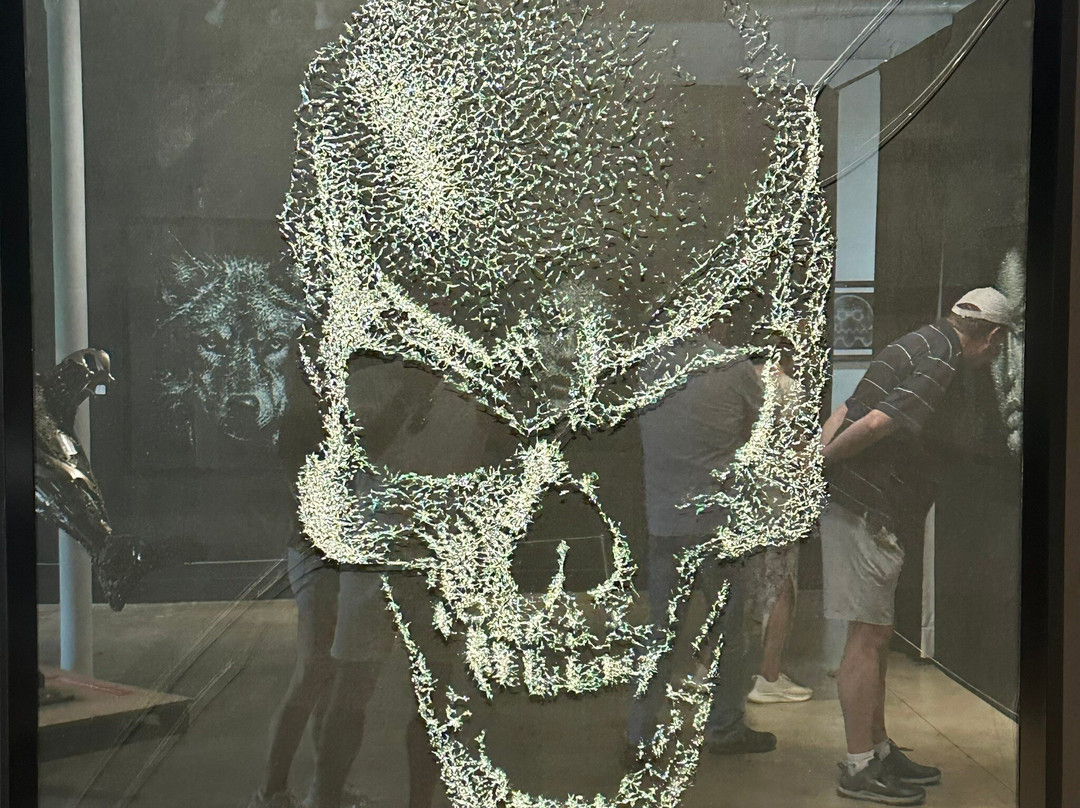 温伍德墙-迈阿密必去景点