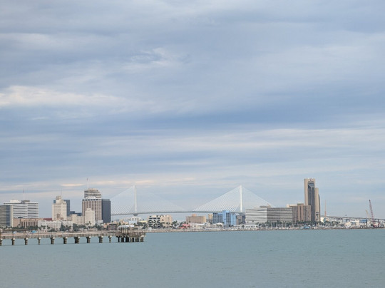 Hilton Garden Inn Corpus Christi主图