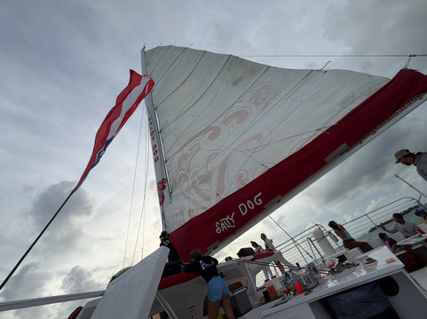 Salty Dog Catamaran-法哈多必去景点