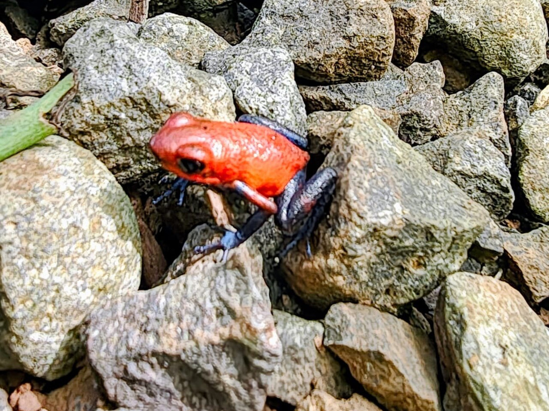 Matt's Fishing & Tours-萨迪纳尔必去景点