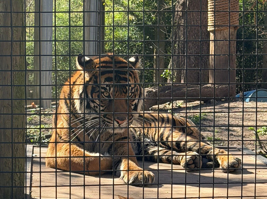 Cameron Park Zoo-韦科必去景点