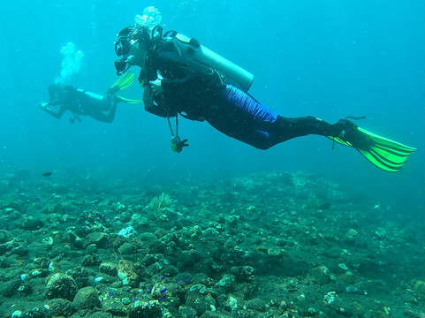 Tour Dive Bali-图兰本必去景点