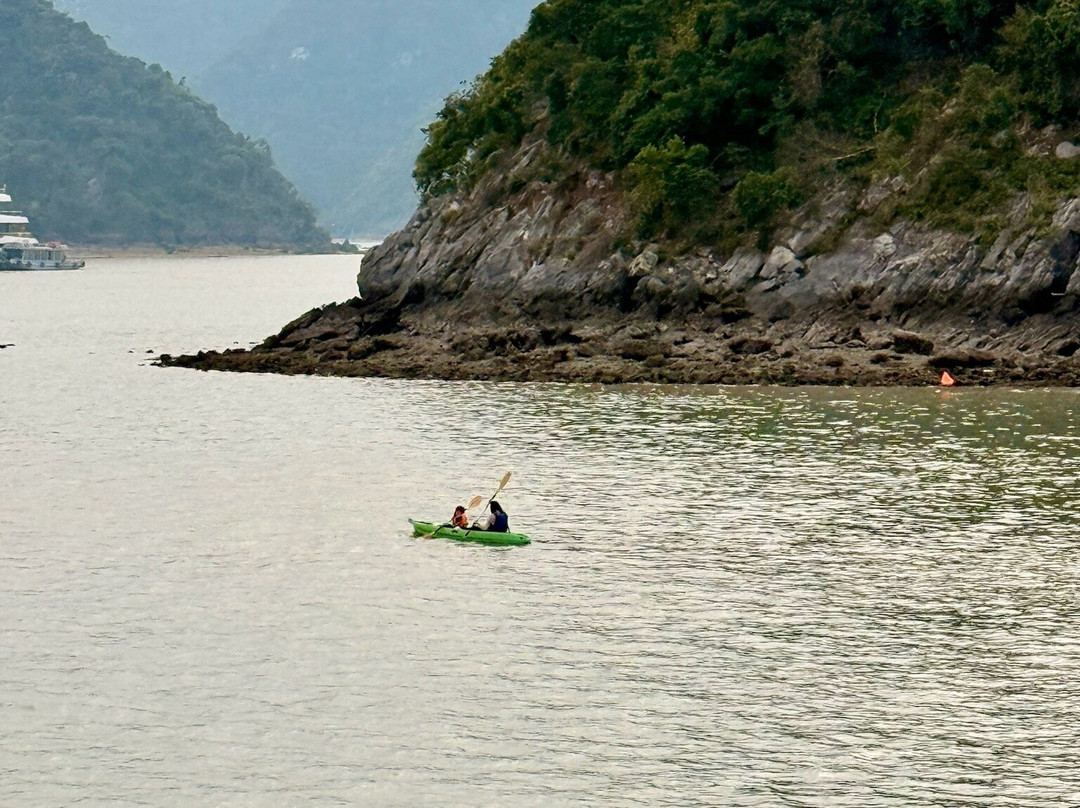 Erina Cruise-下龙湾必去景点