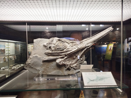 Museo Geopaleontologico di Cava Bomba-Cinto Euganeo必去景点