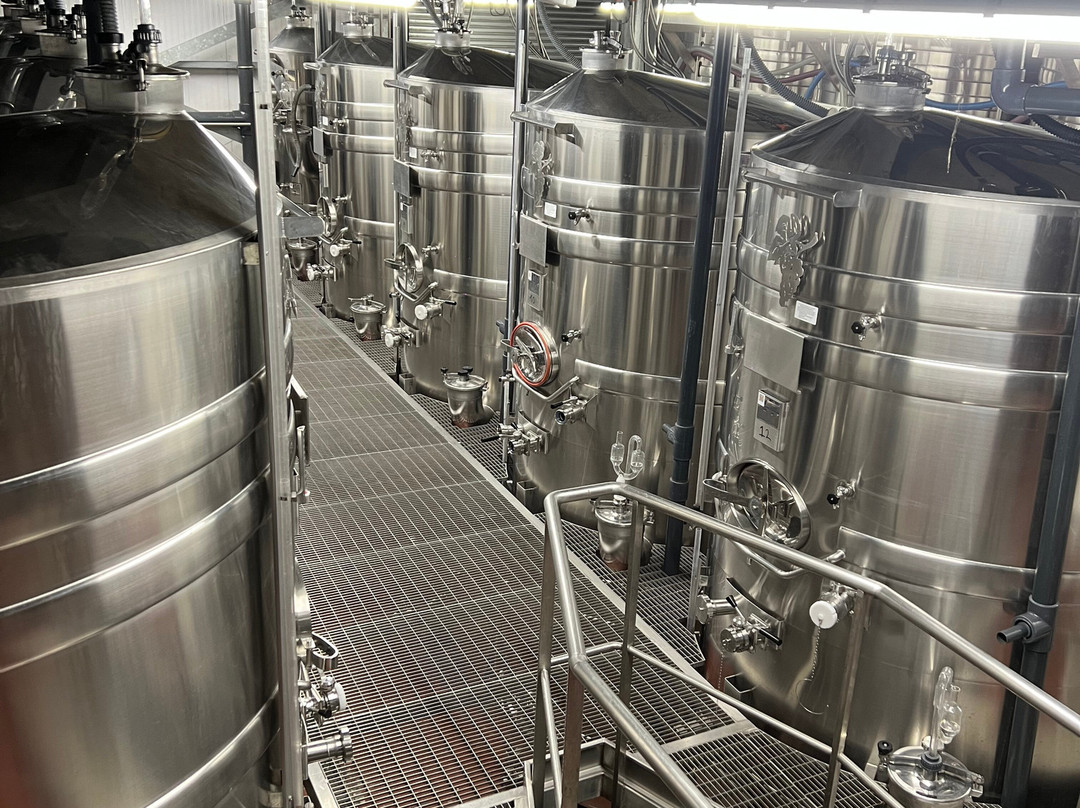 Hambledon Vineyard-Hambledon必去景点