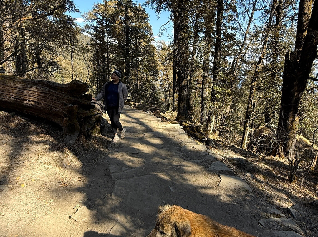 The Searching Souls-哈里瓦必去景点
