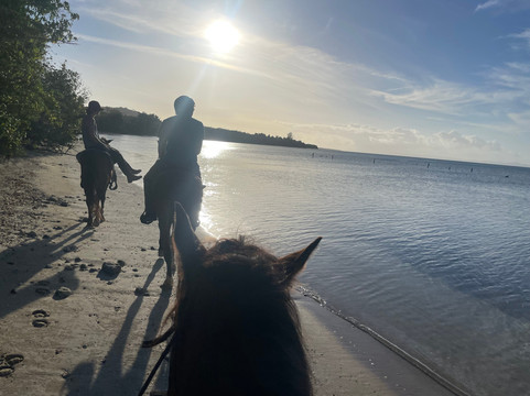 Jurutungo Farm-Florida必去景点