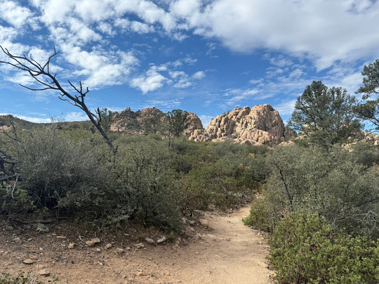 Constellation Trails-普雷斯科特必去景点