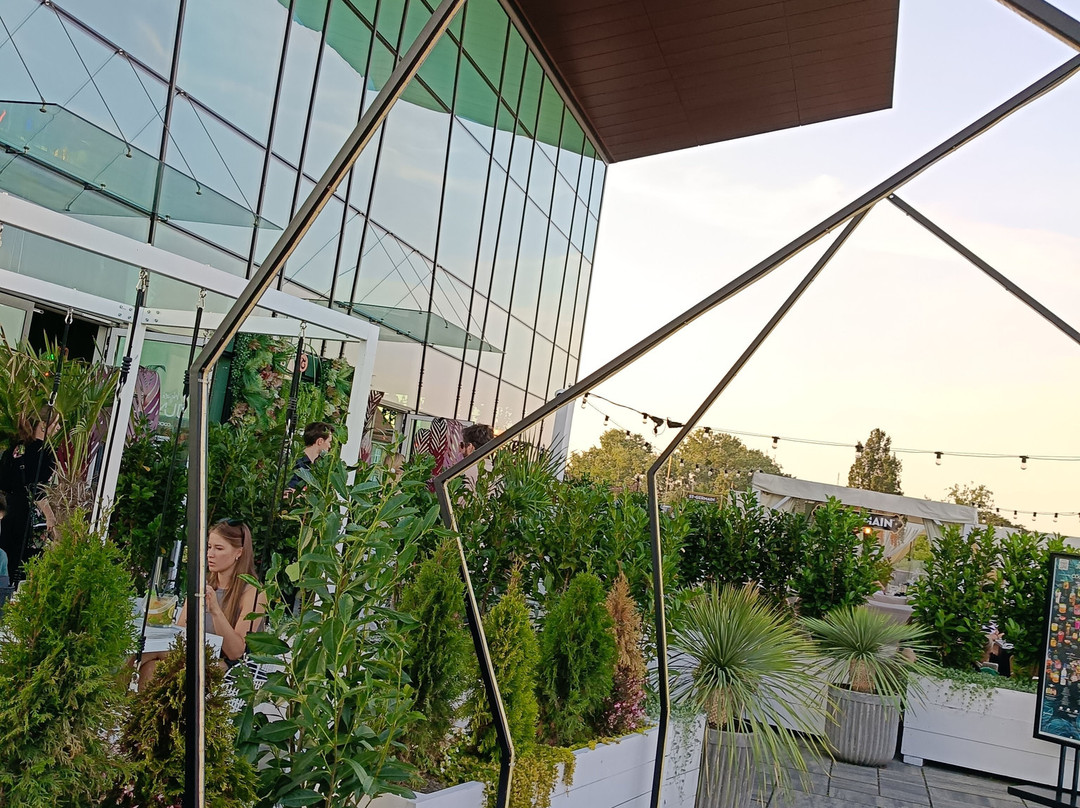 Jungla-格但斯克必去景点