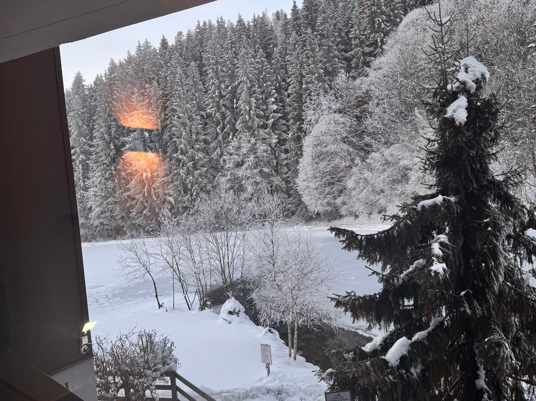 Familiyhotel Bad Neunbrunnen am Waldsee主图