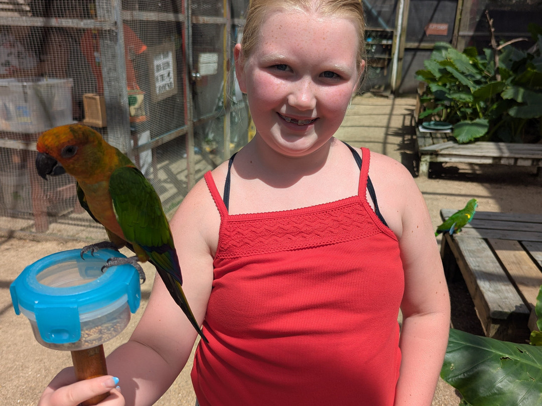 Parotte Ville Bird Sanctuary-圣马丁岛必去景点