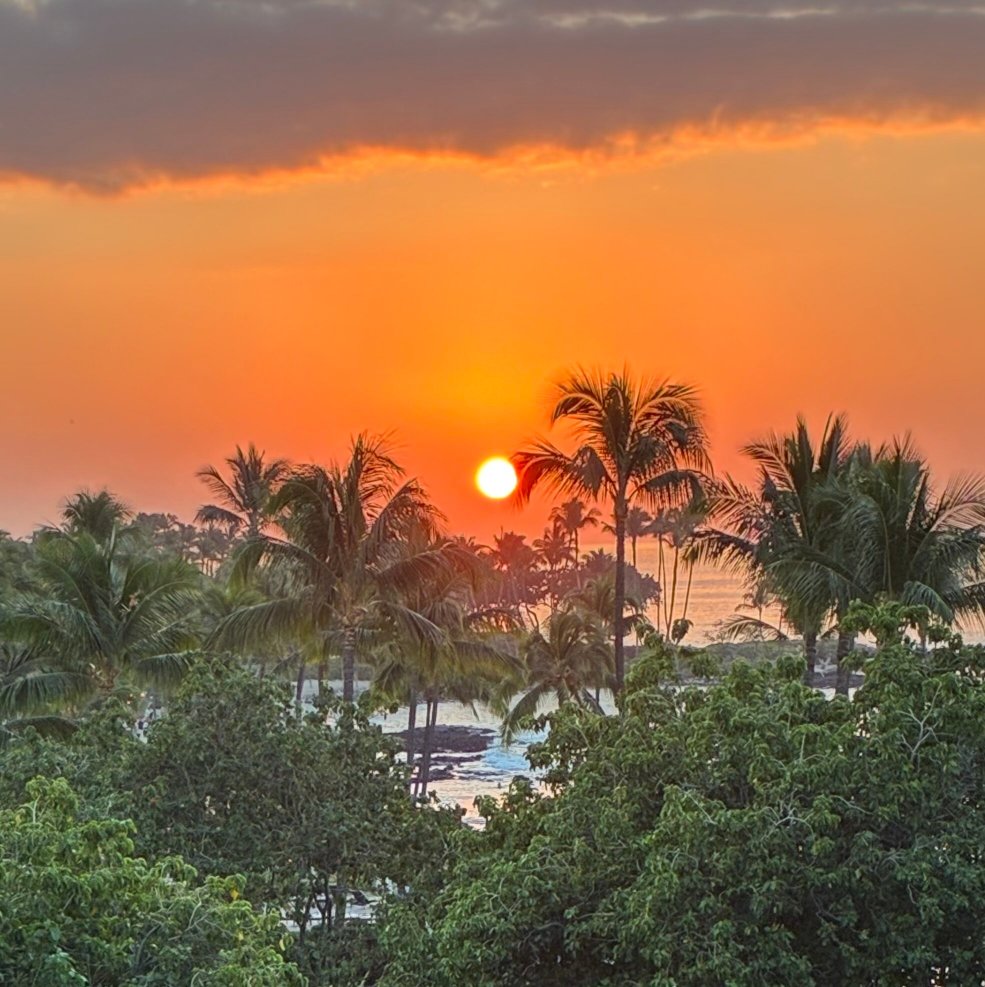 费尔蒙特兰花酒店,夏威夷-官方
