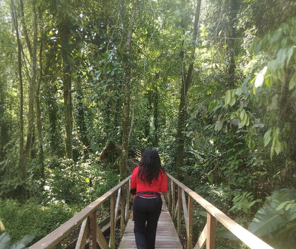 Limoncocha National Biological Reserve-Limoncocha必去景点