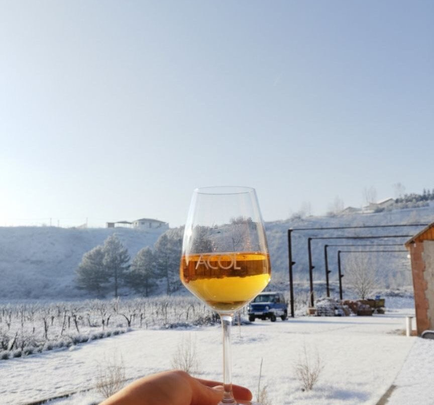 Acol Armenian Ethnic Manor-Dilijan必去景点