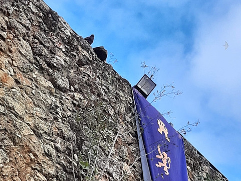 Castillo de Niebla-Niebla必去景点