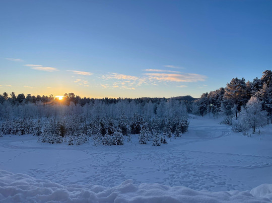 Inari Reindeer Farm-伊纳里必去景点