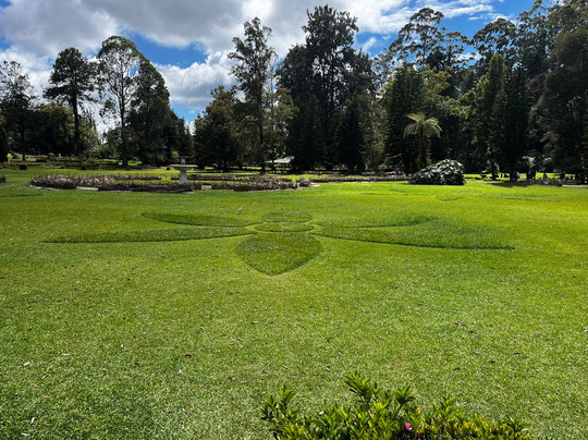 维多利亚公园-奴娃拉伊利雅必去景点