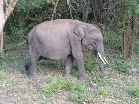 Freedom Safari Jeep Tours-蒂瑟默哈拉默必去景点