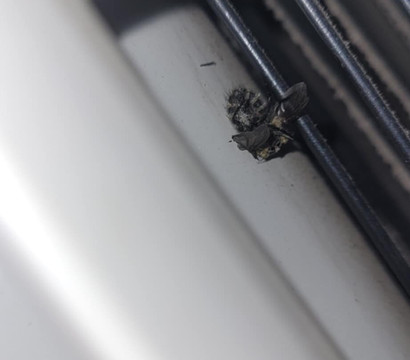 德雷顿谷福克斯伍德套房酒店主图