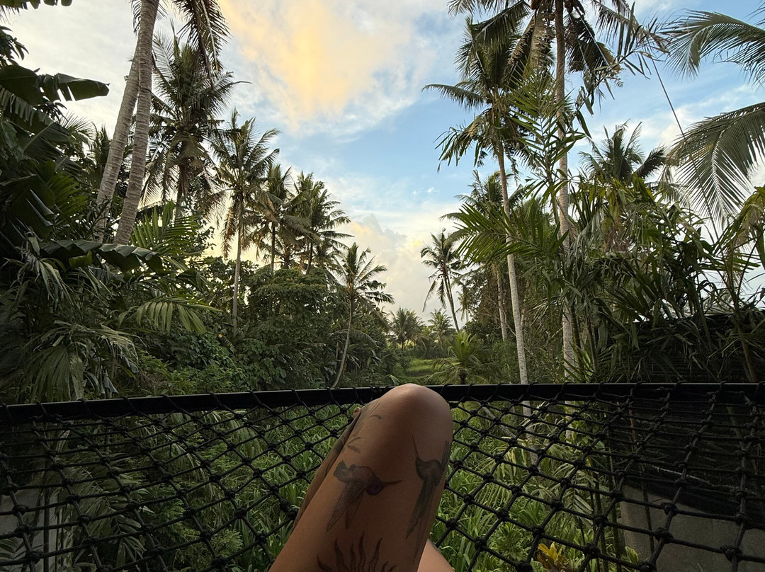 Emana Bambooscape
