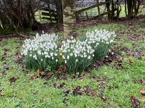 Felley Priory Gardens-Underwood必去景点