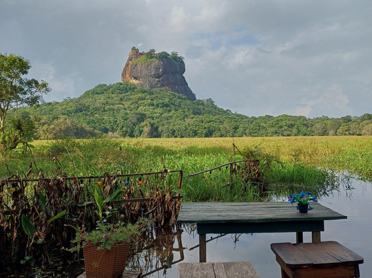 Sri Infinity Tours-贝卢瓦拉必去景点